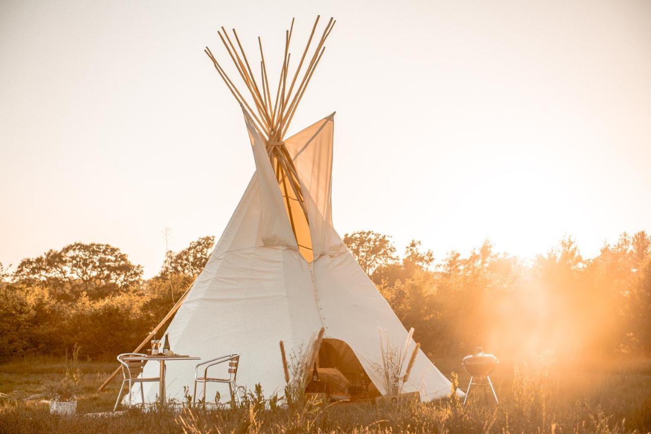 Luxury tent Oastbrook Glamping *